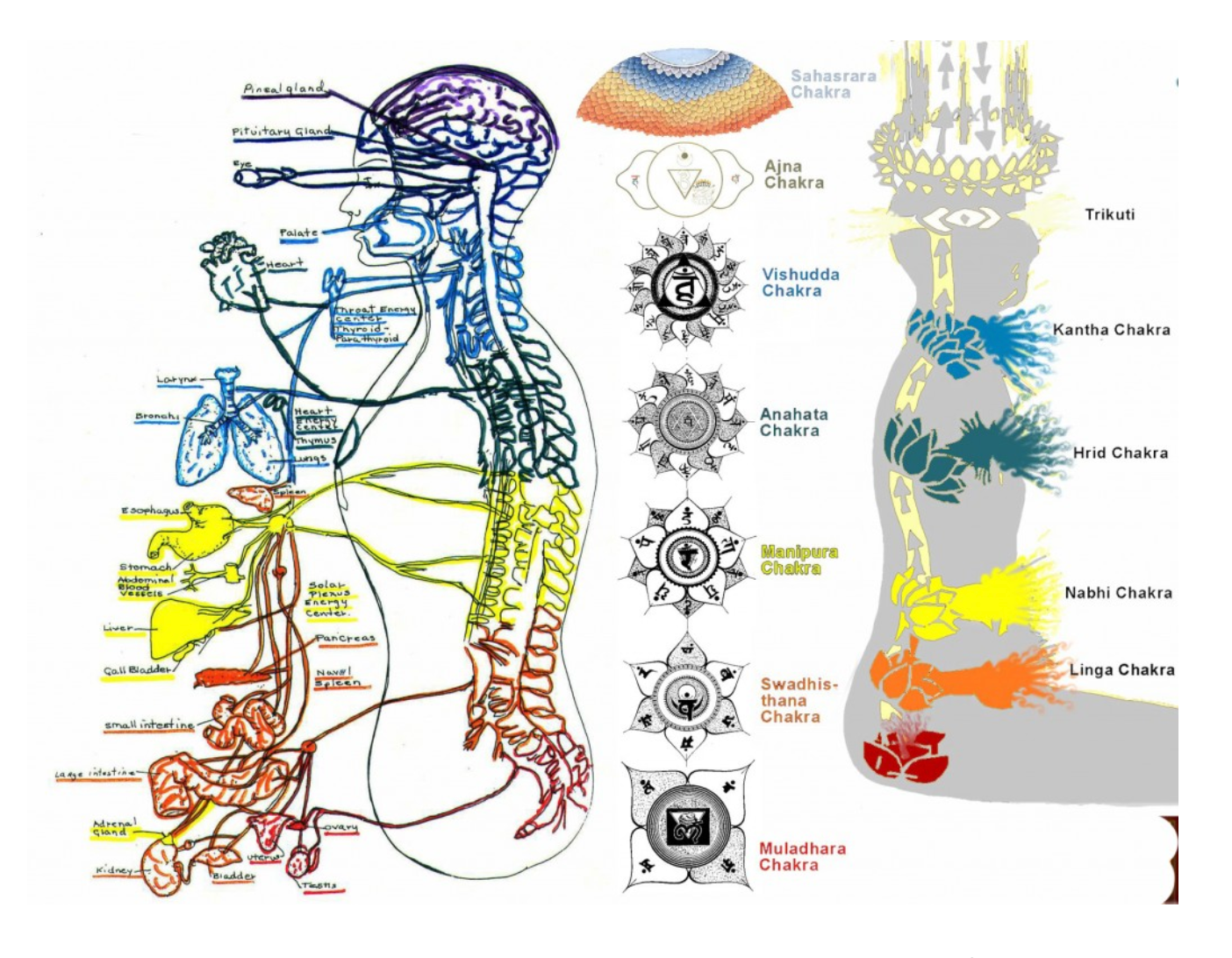 Structural Energy Reordering