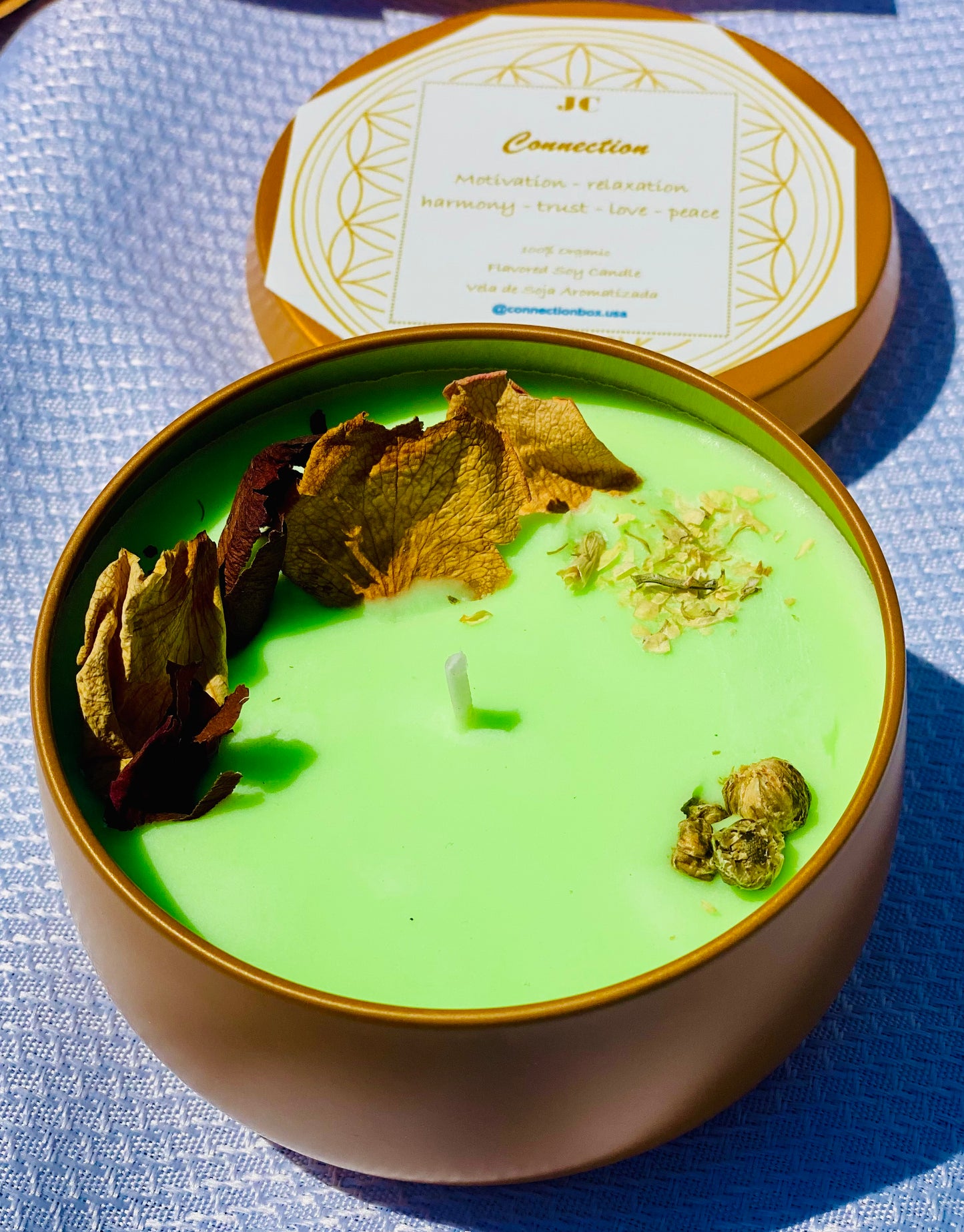 Velas de soja Eucalipto - Renuevo mi Energía y me Reconecto