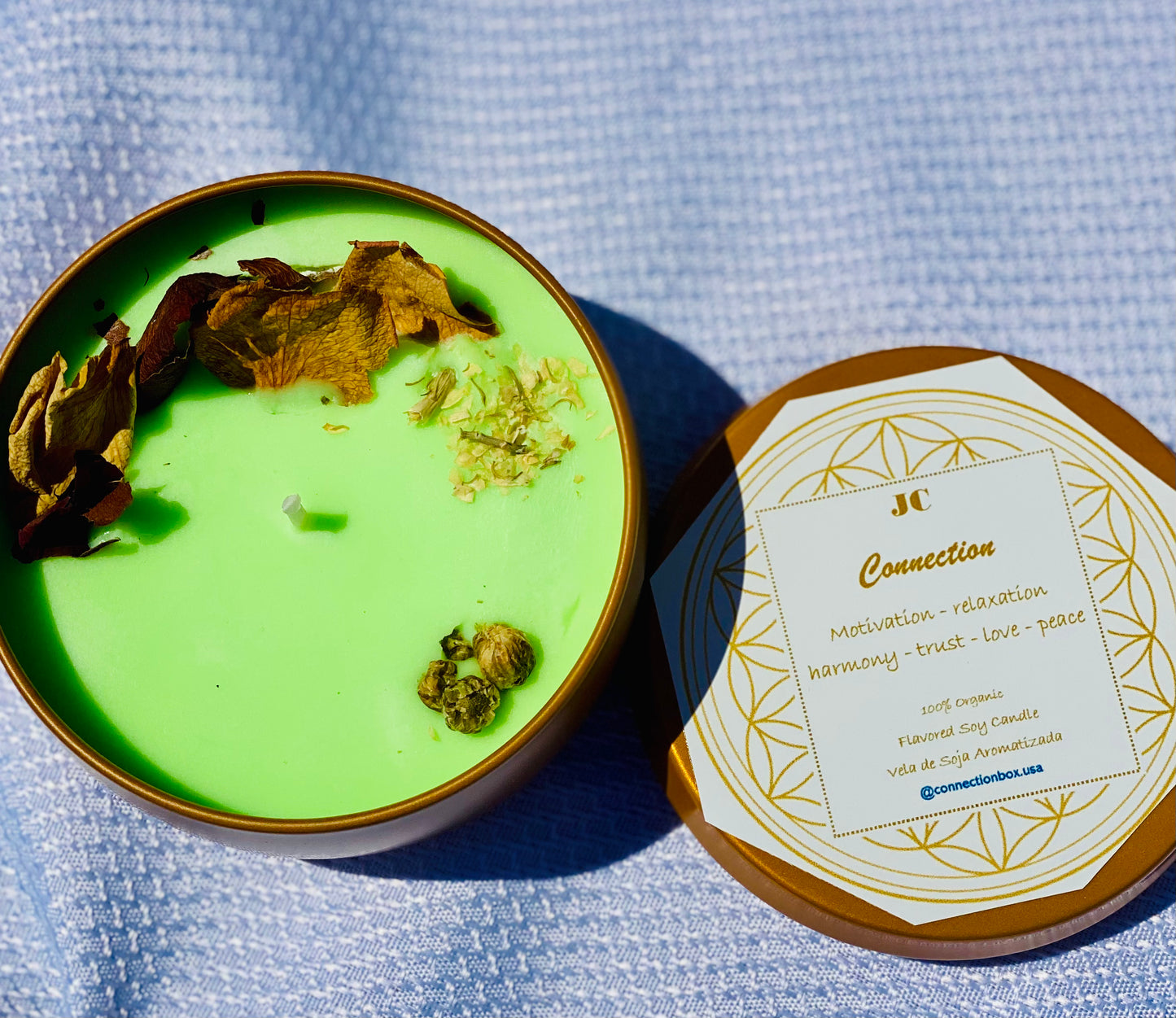 Velas de soja Eucalipto - Renuevo mi Energía y me Reconecto